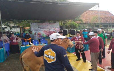 Kemenag Sumenep Laksanakan Penyembelihan Hewan Qurban, 9 Ekor Sapi dan 2 Kambing Disalurkan